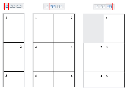 Display layouts: single page, multiple pages, book